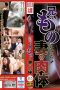 1795-cover