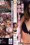 265-cover