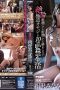388-cover